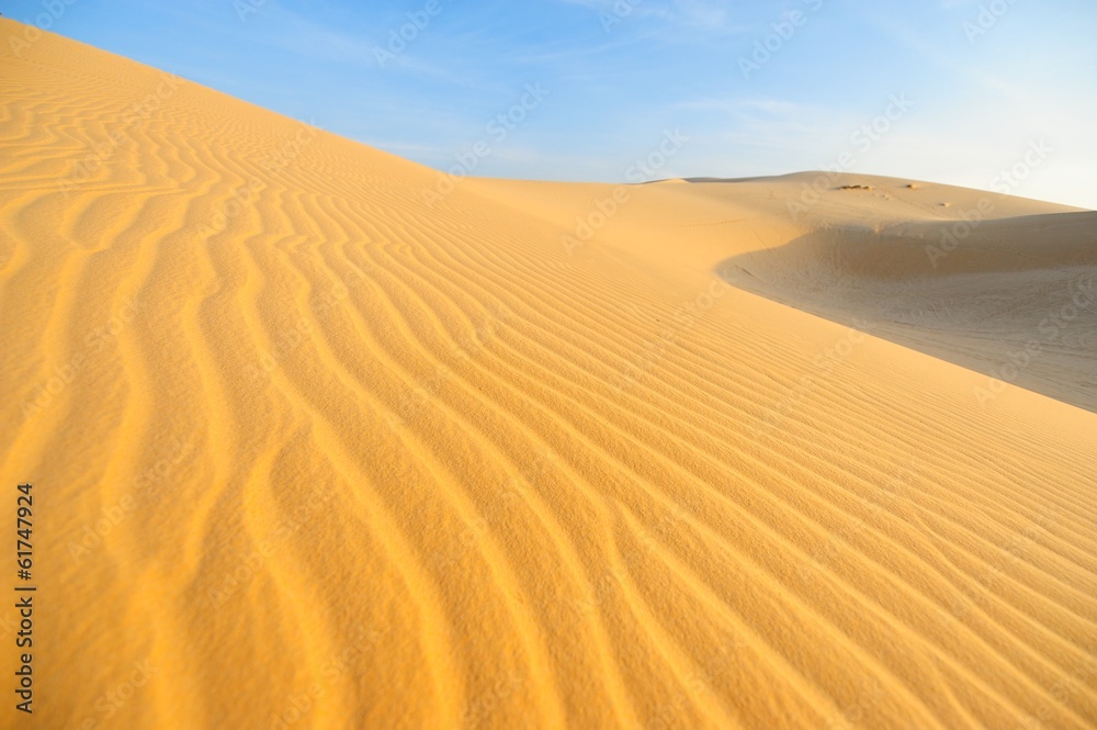 Sand Pattern Textured on Sand Dunes Sand Pattern Textured on Sand Dunes
