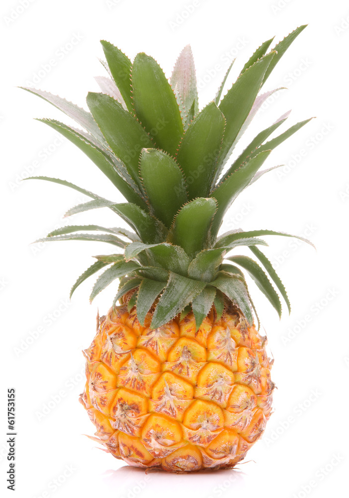 Fototapeta premium Pineapple tropical fruit or ananas