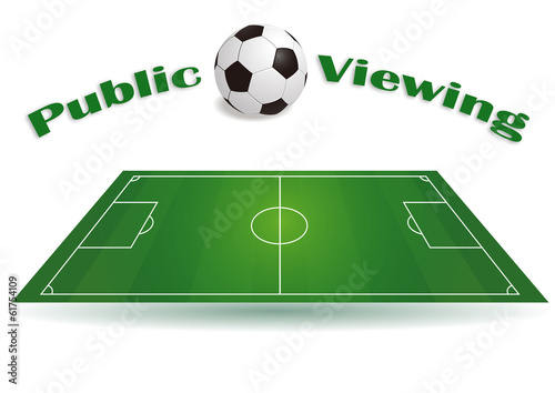 Public Viewing - Fu  ballfeld mit Ball
