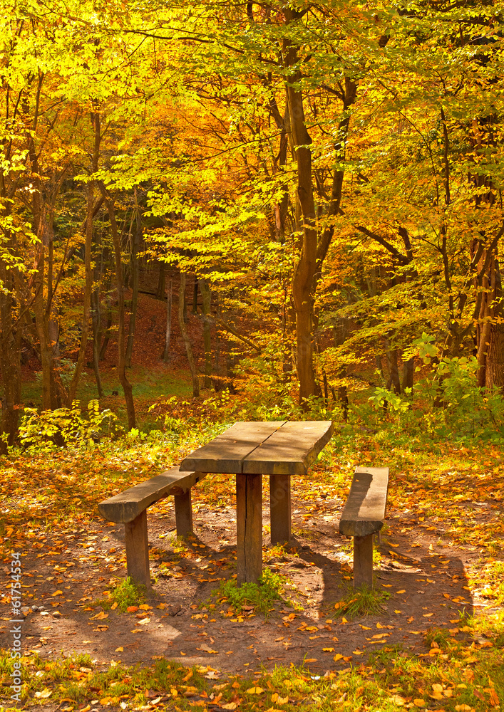Nice autumnal scene Nice autumnal scene
