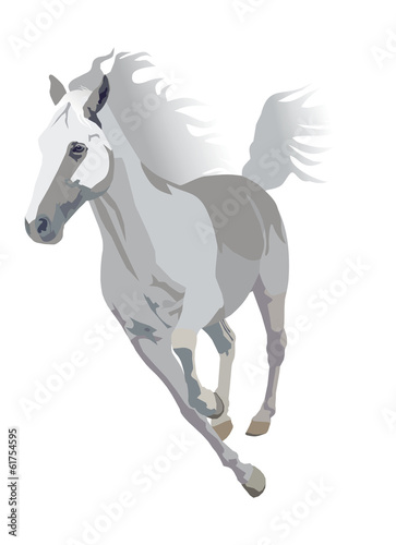 vector white horse