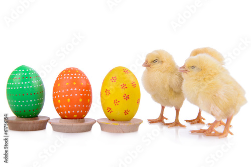 Easter eggs with newborn chickens
