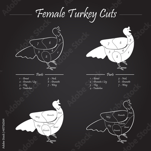TURKEY FEMALE CUTS SCHEME -  red on white