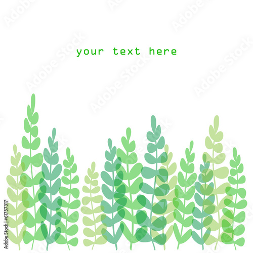 Fern border or card