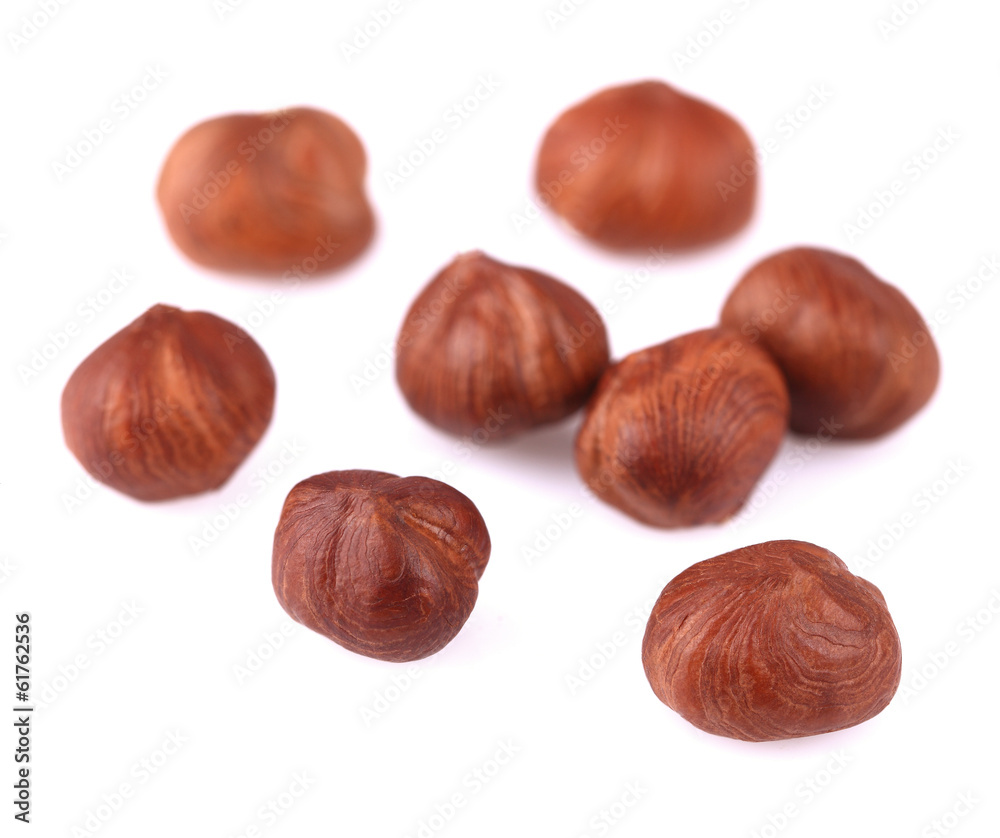 Hazelnuts isolated on white. Hazelnuts isolated on white.