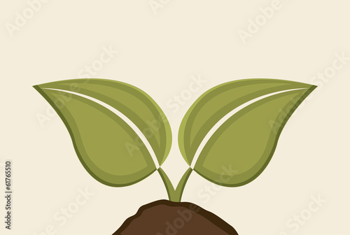 eco design