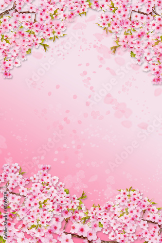 桜のイメージ背景