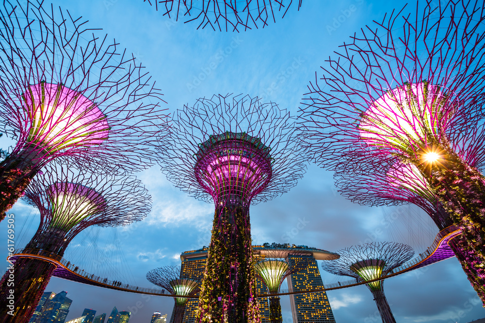 Naklejka premium Wielkie drzewa, Singapur