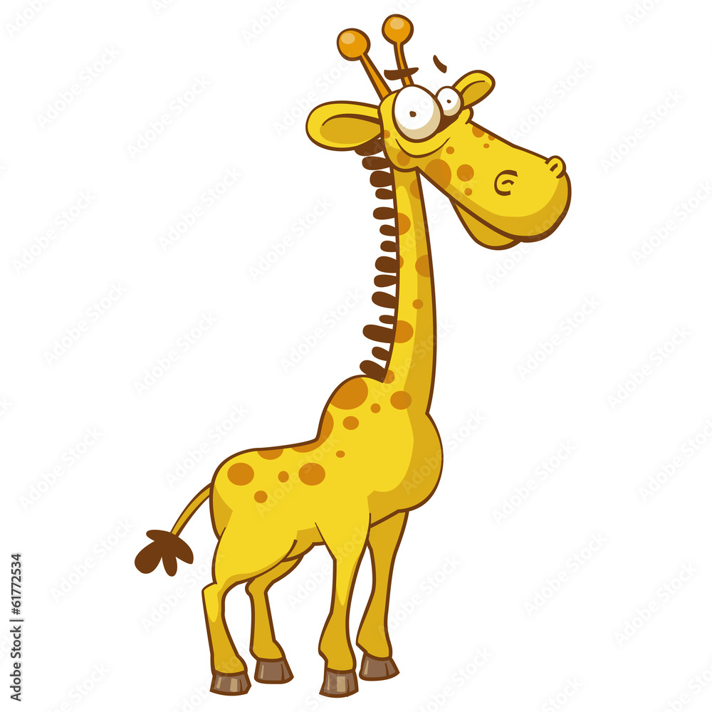 Fototapeta premium giraffe