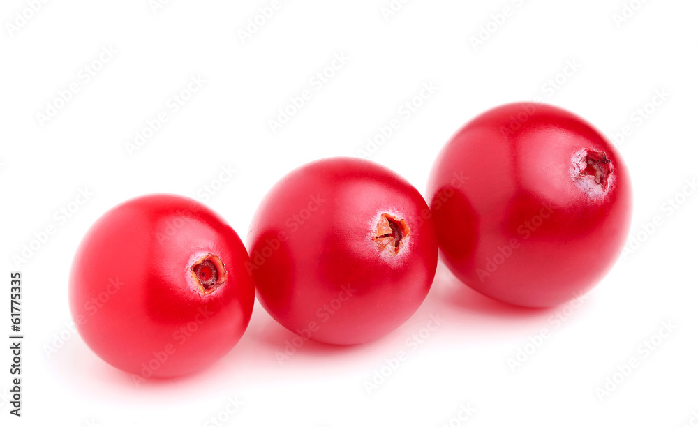 Fresh cranberries closeup.