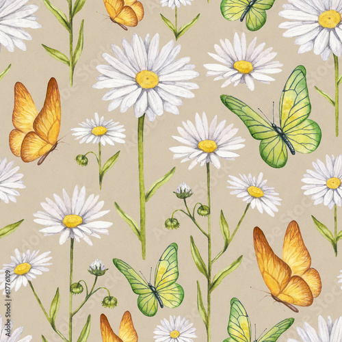 Chamomile flowers and butterflies illustration