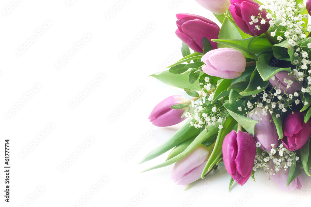 Obraz premium Tulips