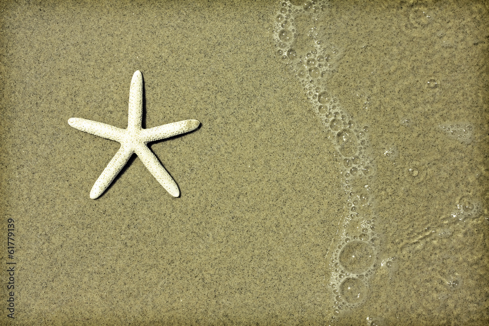 Starfish an waves on summer sunny beach Starfish an waves on summer sunny beach