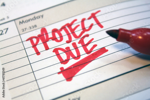 Project due