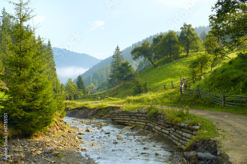 Rural landscape in Carpathian Mountains in the morning , Ukraine