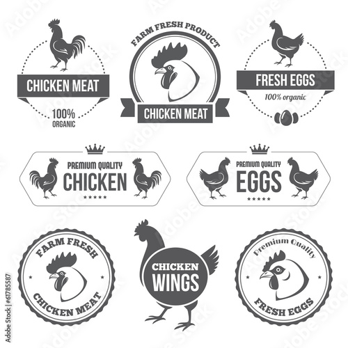Chicken meat and eggs 1