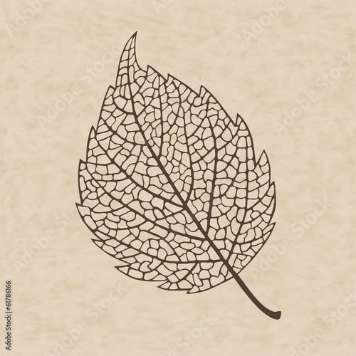 Illustration of autumn leaf