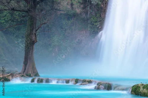 Obraz wodospad, drzewo i rośliny