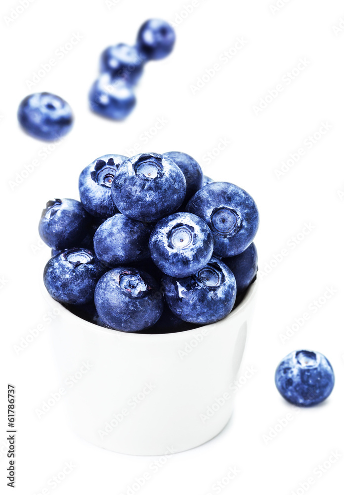 Fresh bilberries in a bowl isolated on white background close u Fresh bilberries in a bowl isolated on white background close u