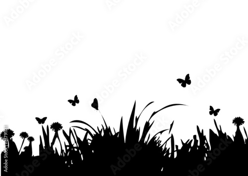 Wiese