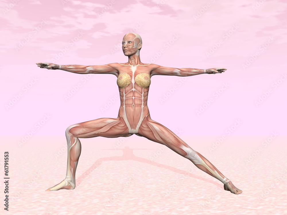 Warrior yoga pose for woman with muscle visible