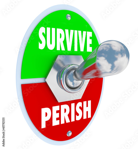 Survive Vs Perish Toggle Switch Choose to Win Endure Attitude