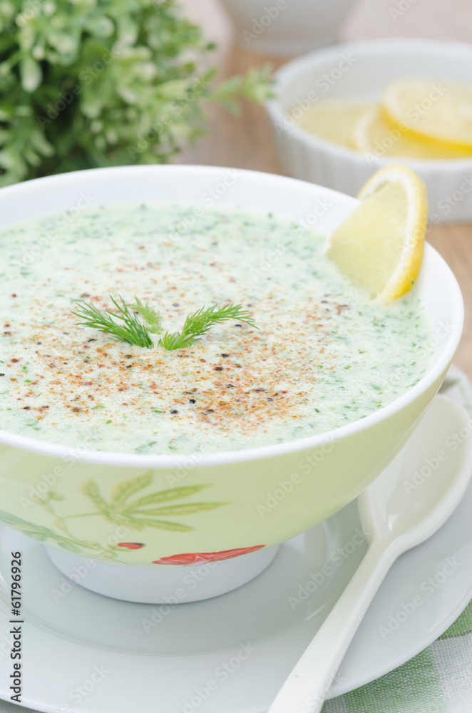 cold soup with kefir and fresh herbs closeup selective focus cold soup with kefir and fresh herbs closeup selective focus