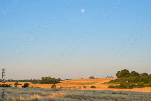 Morning moon over fields