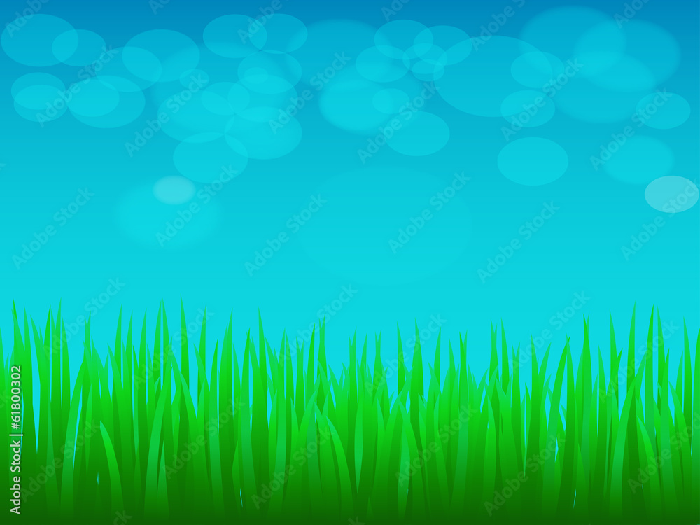 Grass in spring