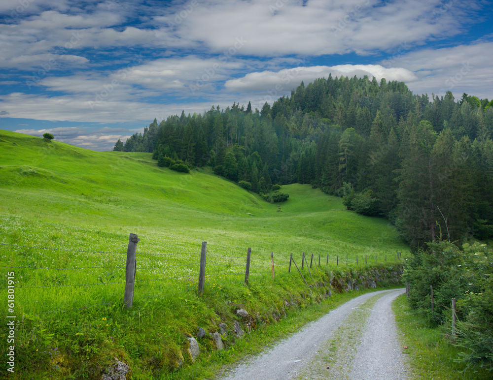 Mountains and grass Mountains and grass