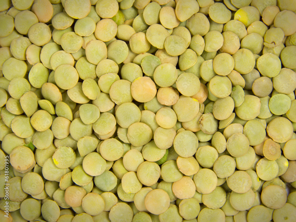 Seed abstract