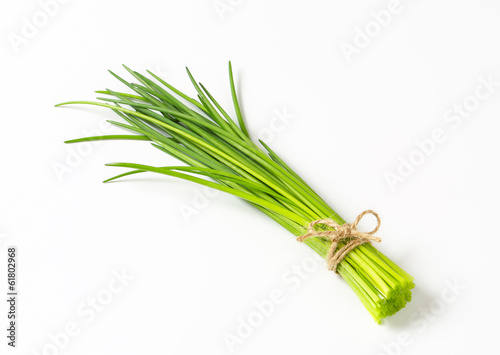 Bunch of fresh chives photo