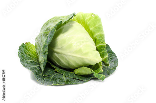 cabbage with green large leaves grows isolate on white backgroun
