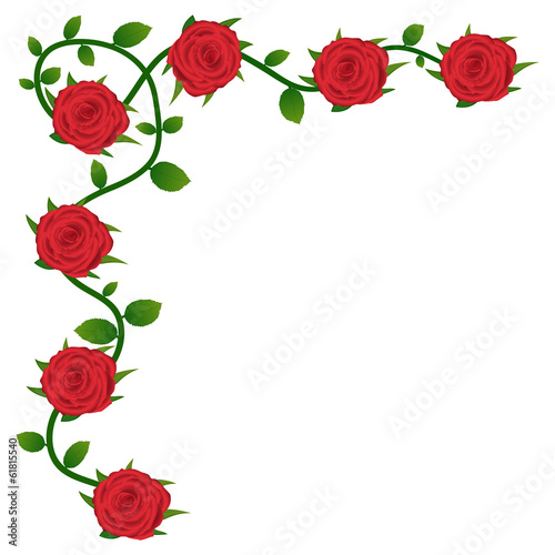 Red roses background for greeting card