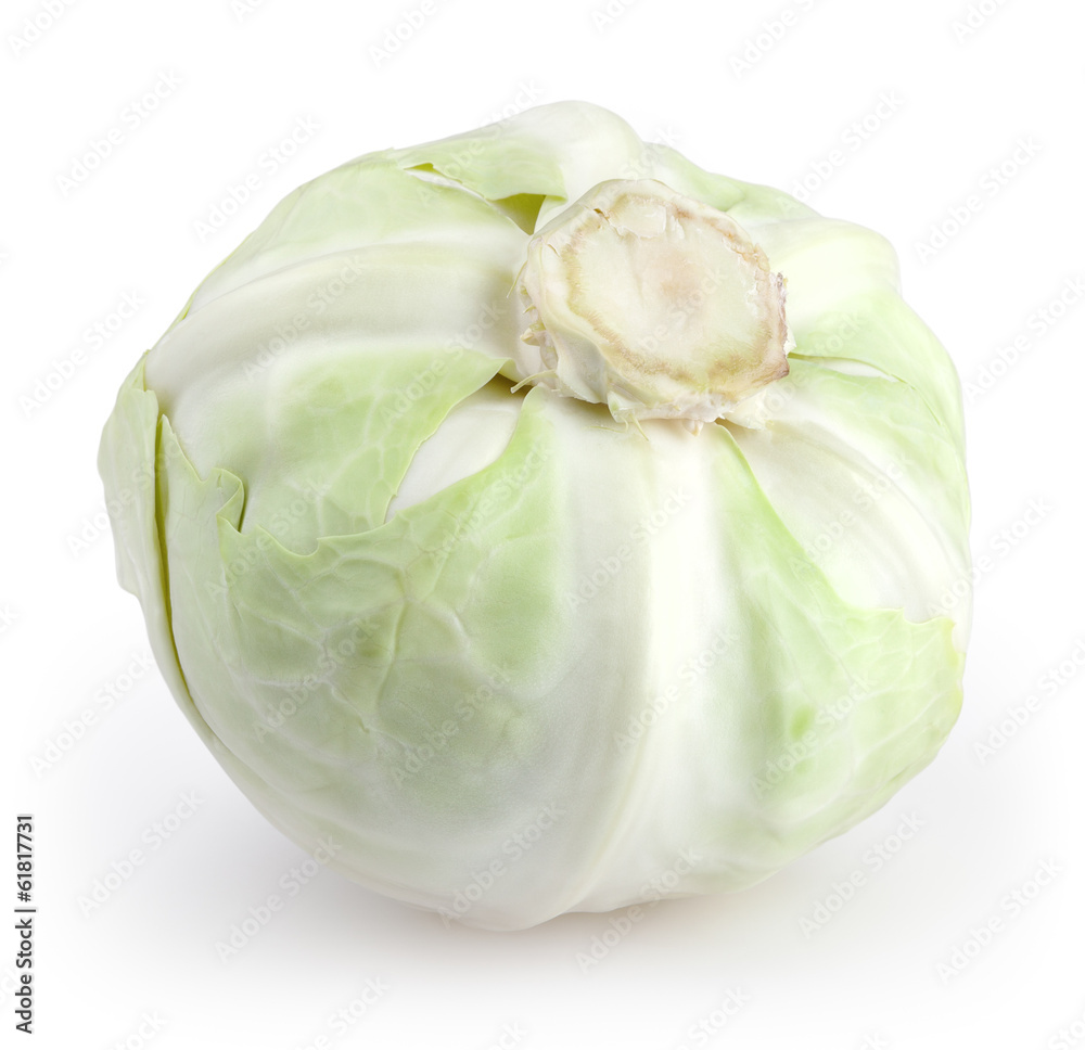 White cabbage isolated on white background with clipping path