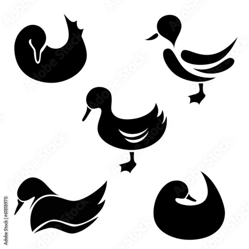 the set of duck