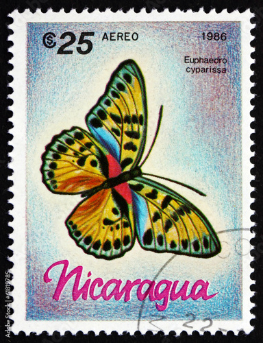 Postage stamp Nicaragua 1986 Euphaedro Cyparissa, Butterfly