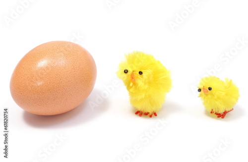 Easter chickens with fresh egg on white background