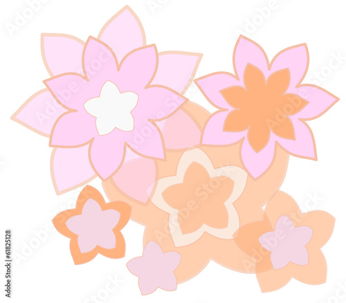 Fiori arancio e rosa