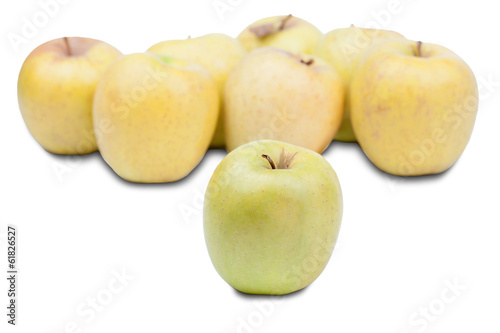 Multiple yellow apples