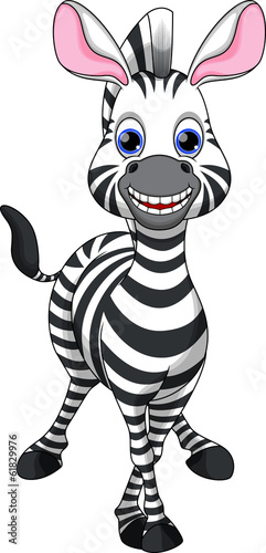 Zebra cartoon
