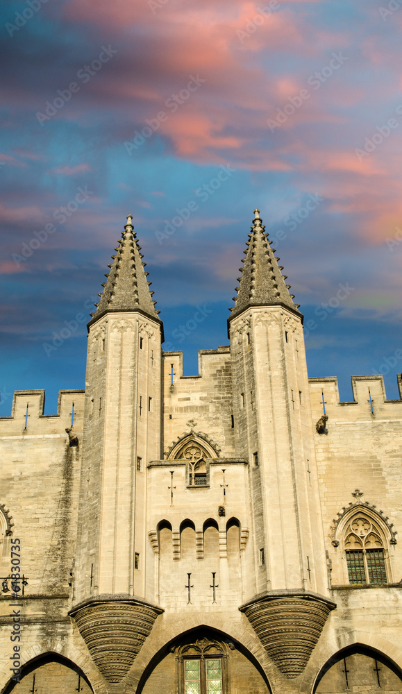 Obraz premium Pope palace in Avignon , France. Architectural detail of the tow