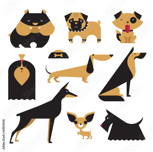 Vector Dog