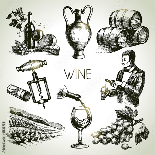 Hand drawn sketch vector wine set