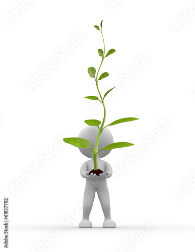 Big plant