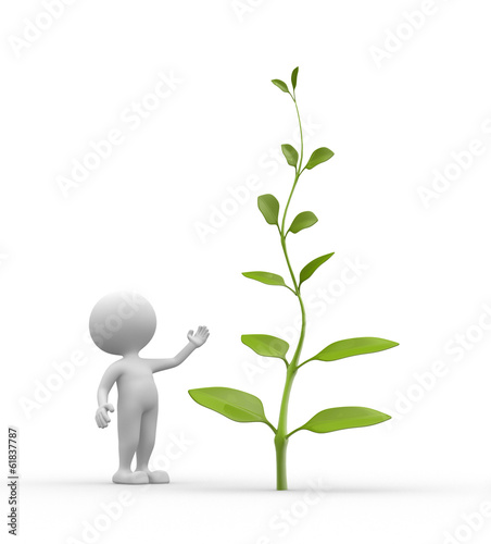 Plant