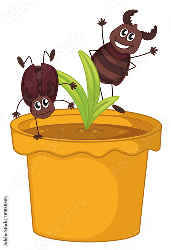 A plant in a pot with two smiling cockroaches