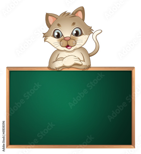 A cat leaning above the blackboard