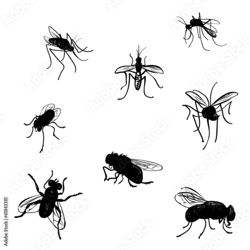 Vector collection of doodled flies and mosquitoes. © okolaa