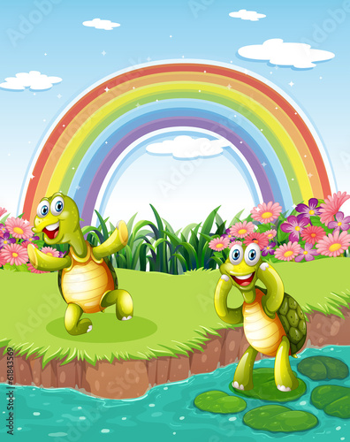 Two playful turtles at the pond with a rainbow in the sky